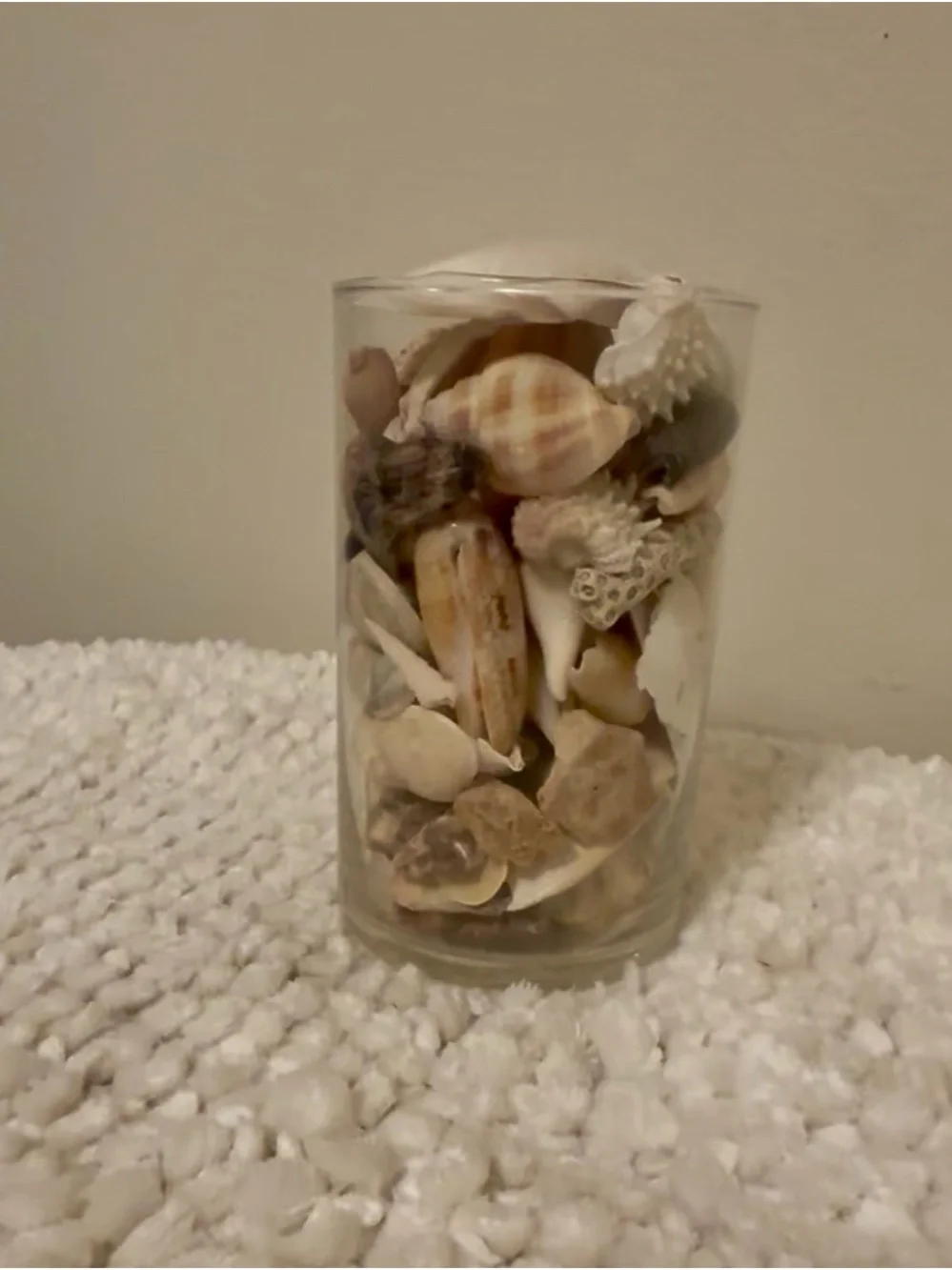 Decorative Glass Jar w/authentic local FL handpicked shells.